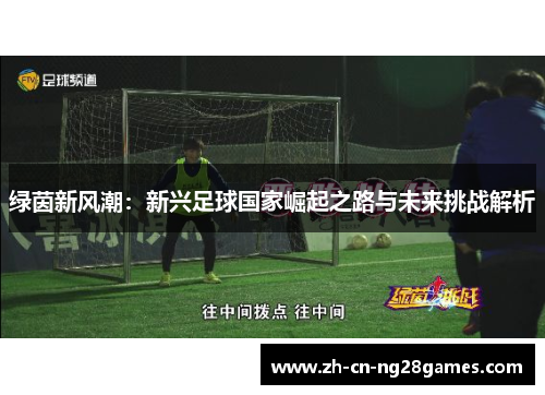 绿茵新风潮：新兴足球国家崛起之路与未来挑战解析