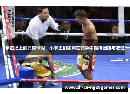 拳击场上的兄弟情深：小拳王们如何在竞争中保持团结与友谊