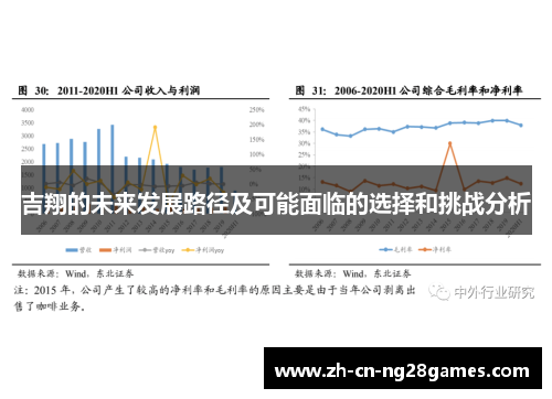 吉翔的未来发展路径及可能面临的选择和挑战分析