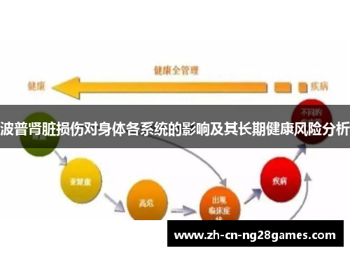 波普肾脏损伤对身体各系统的影响及其长期健康风险分析