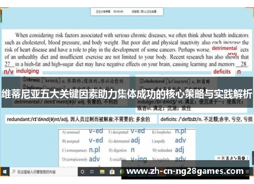 维蒂尼亚五大关键因素助力集体成功的核心策略与实践解析