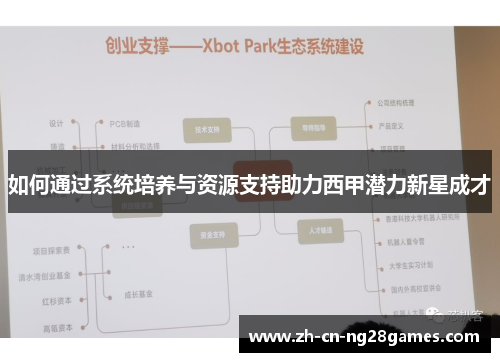 如何通过系统培养与资源支持助力西甲潜力新星成才