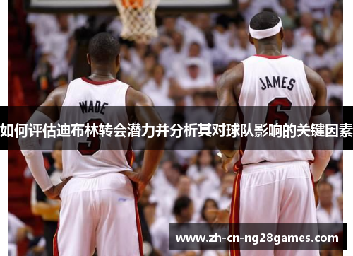 如何评估迪布林转会潜力并分析其对球队影响的关键因素